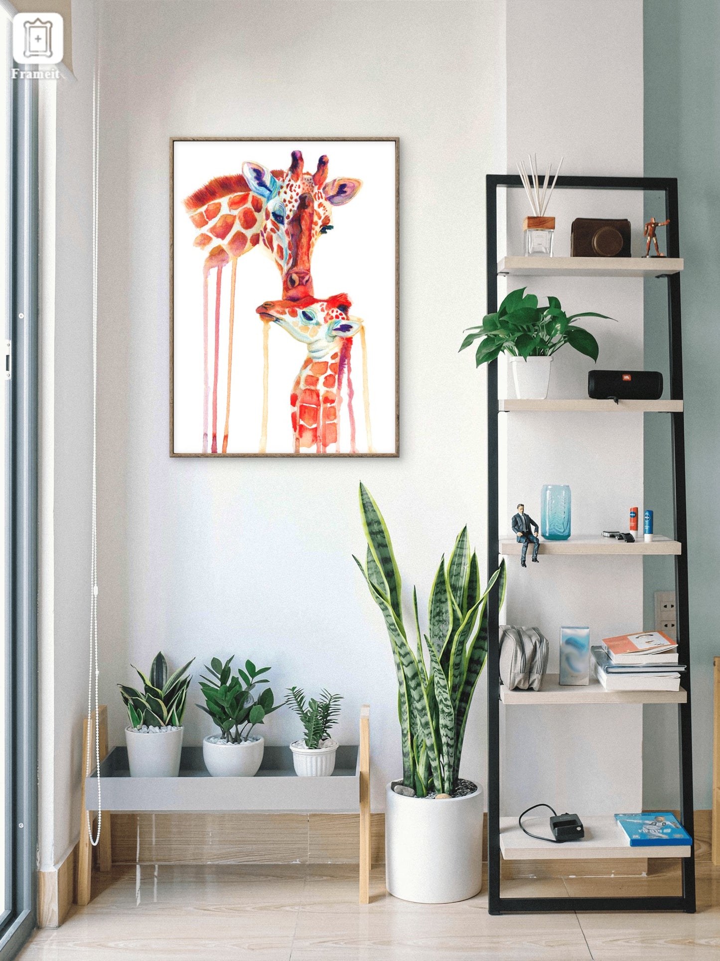 'First Love'- Giraffes Fine Art Giclee Print