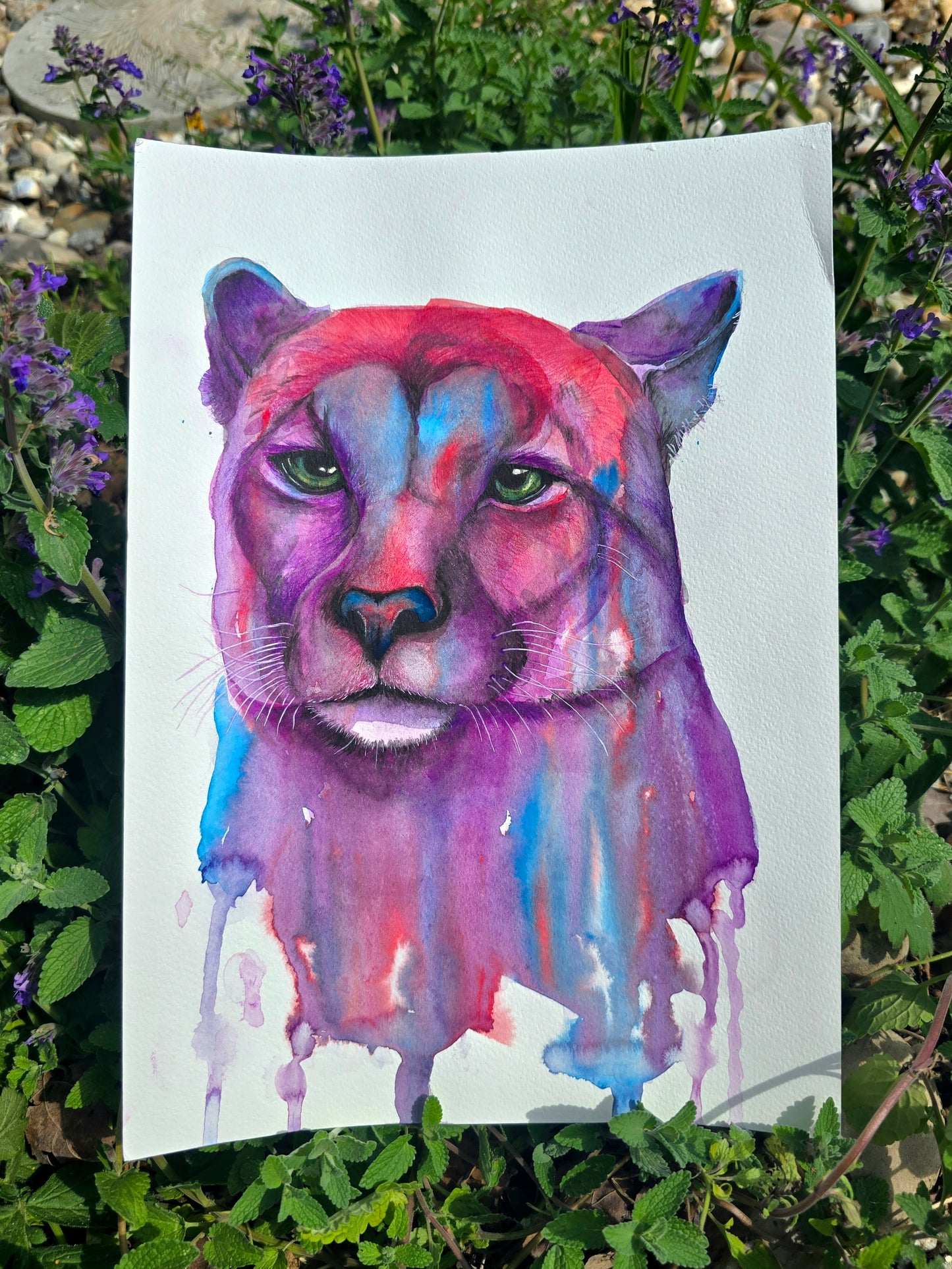 'Spirit of the Mountains'- Original Puma painting