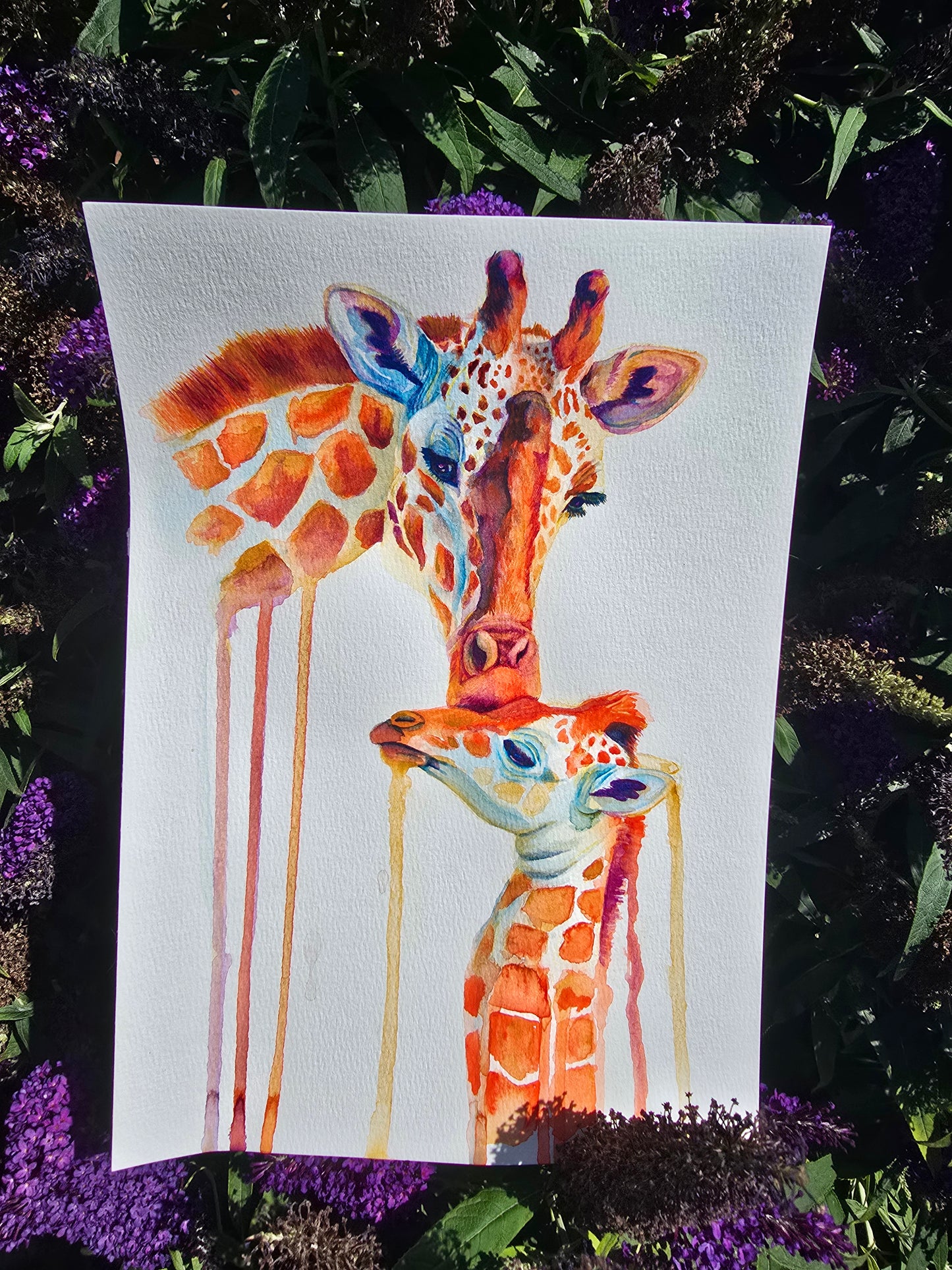 'First Love'- Giraffes- Original Painting