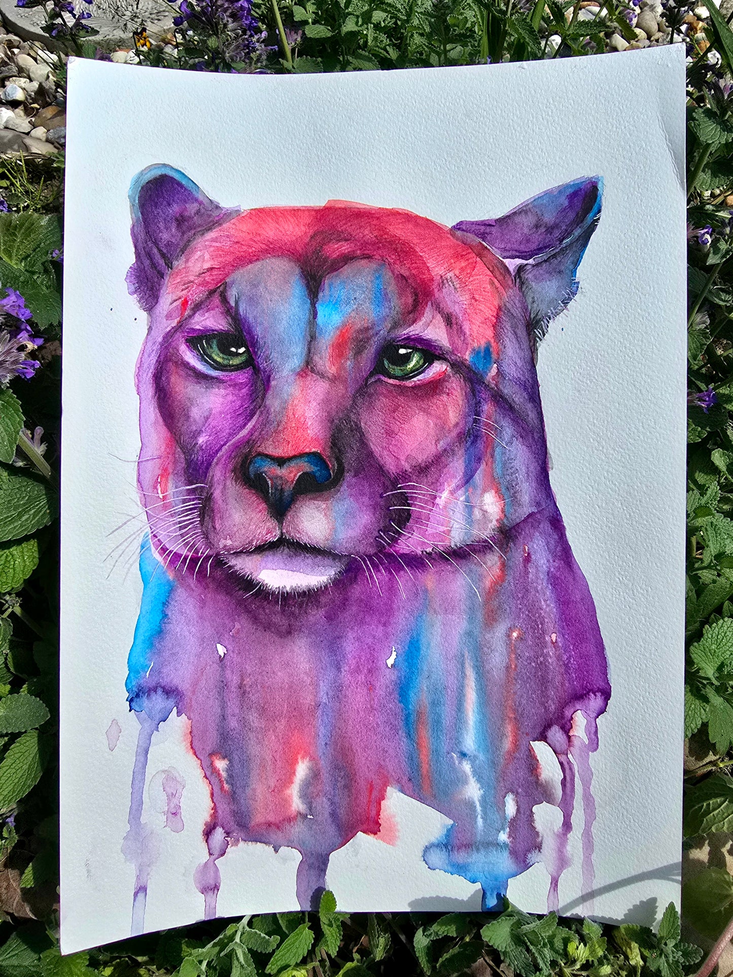 'Spirit of the Mountains'- Original Puma painting